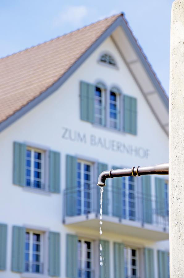 Gasthaus Zum Bauernhof Oberlunkhofen Exterior foto